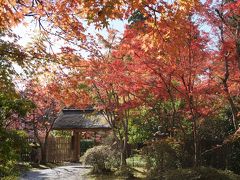 旅館 亀の井別荘
数ある湯布院の旅館の中で、
老舗高級旅館のトップ３に入るのが
こちらの旅館

当然お高くて泊まった事ありません（ノ∀`)