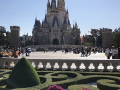 千葉県浦安市舞浜『東京ディズニーランド（TDL）』の
シンデレラ城の写真。

シンデレラ城の長い改修工事が終了し新しくなって初めてのエリアです。
花壇もいい感じになりました。

そういえば鴨を見かけないなー。