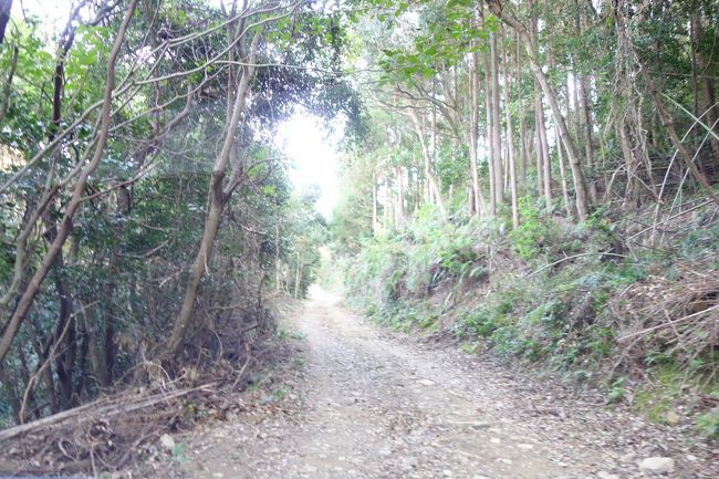 思い切って姫神山砲台跡に行くことに！<br />未舗装でパンクが多発してるので徐行して走って下さい・・・と案内に書いてあったので慎重に登っていきます。