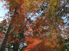 観光スタート

平泉にやってきました

紅葉間に合いました