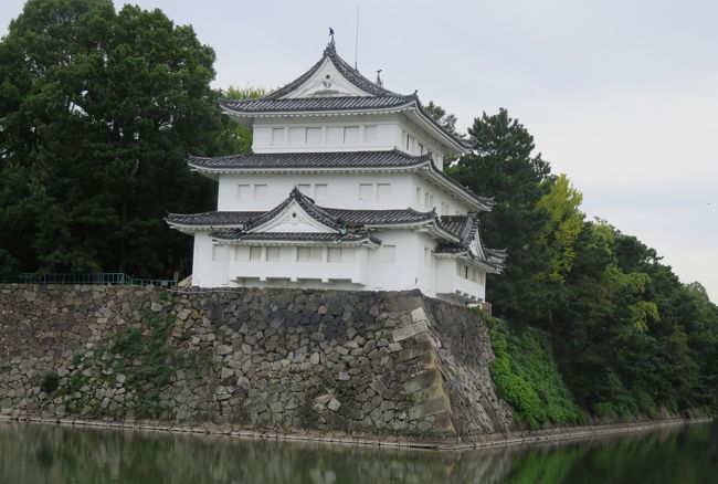 2020秋、名古屋城と名城公園(3/4):10月18日(3):名古屋城(2):お堀、コブ白鳥、天守、キンクロハジロ、清州櫓