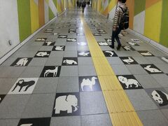 朝食後、地下鉄東西線で円山公園駅へ。
円山動物園の最寄り駅なので、地下道も動物のタイルです。