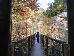 回顧の吊橋