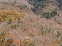 浄土平を抜けると、次第に標高が下がっていきますが、それにつれて、木々に色味が付いてきます。