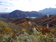 いつの間にかスカイラインを過ぎてレイクラインに入っていたようです。急に山と湖が現れました。秋元湖かな？

もこもこと丸い木々が山肌を赤っぽく染めています。

スマホは結構新しいんですが、写真機能がうまく使いこなせてなくて、色が出ていません。残念…