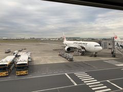 出発。JALクリスタルでもらった羽田空港サクララウンジクーポンが、あと1回しか残ってないので、今回は、Power Lounge。