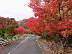 千代田園地