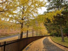 ダム広場公園