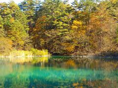 なにか、出てきそうな神秘的な湖。
