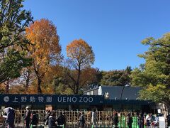 上野動物園到着。
今回は午前１１時４５分からの入園予約をしました。
既に同じ時間帯の予約をした人たちが大勢並んでいました。