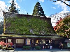 下呂温泉合掌村

国重文「旧大戸家住宅」をはじめ、
世界遺産の白川郷などから移築した10棟の合掌造りの民家や
益田造りの民家で、往時の生活に触れることができる。
江戸時代初期の遊行僧「円空」を紹介する「円空館」、
陶芸や陶器の絵付け、絵漉きの体験ができる「飛騨工房」、
「合掌の足湯」、川魚の炭火焼きが食べられる「市倉」などもあり、
山野草が咲く村内を一日中楽しめる。

