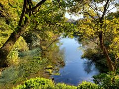 柿田川湧水公園も、行きました。