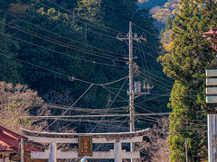 三峯神社表参道