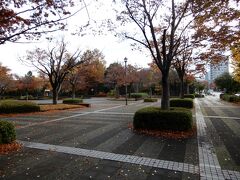 ホテルから車に乗って霞城公園の駐車場に着きました。