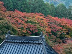お参りをした後に裏の飯盛山へ上がってみます。遠くから見ると紅葉しています