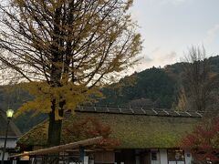 事前の確認では香嵐渓の紅葉の時期は渋滞がひどいようで朝６時には現地に着くように向かいました。天気、見頃とも良い予報で朝６時ちょっと過ぎで中心的な駐車場は既に満車の日曜日でした