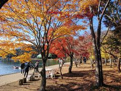 湖畔沿いのもみじです。
オープンテラスのおしゃれな喫茶店なんかもあります。