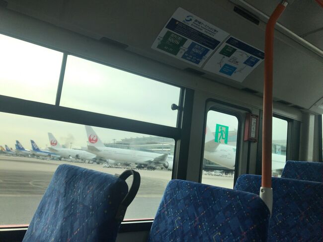 　制限エリア間のバスはなかなか乗る機会がないです。