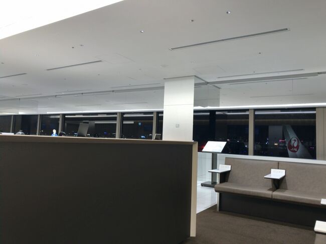 　帰りは少しラウンジに寄ってみました。<br />窓の外を写真を撮られている方がいたので<br />よく見てみると。。