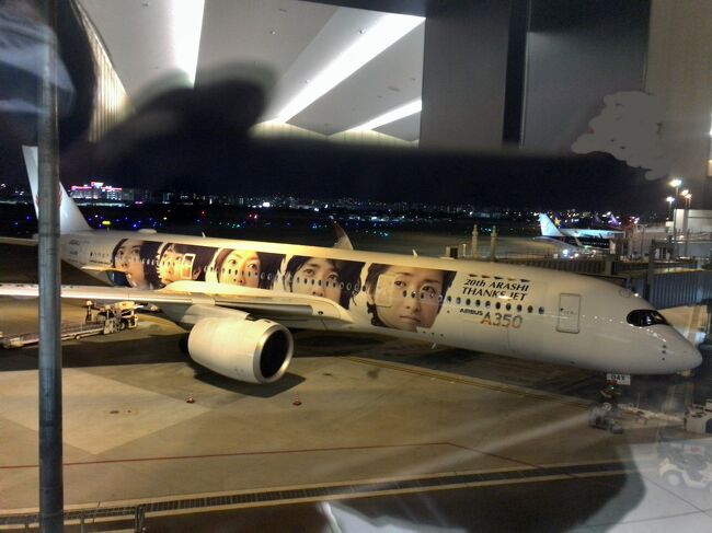 JAL 嵐ジェットがいたので、真似して写真を撮りました。