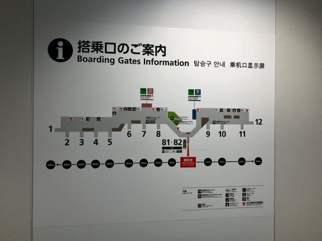 　搭乗口へ移動する途中の通路から<br />また別の特別塗装機(スペマ機)を発見！