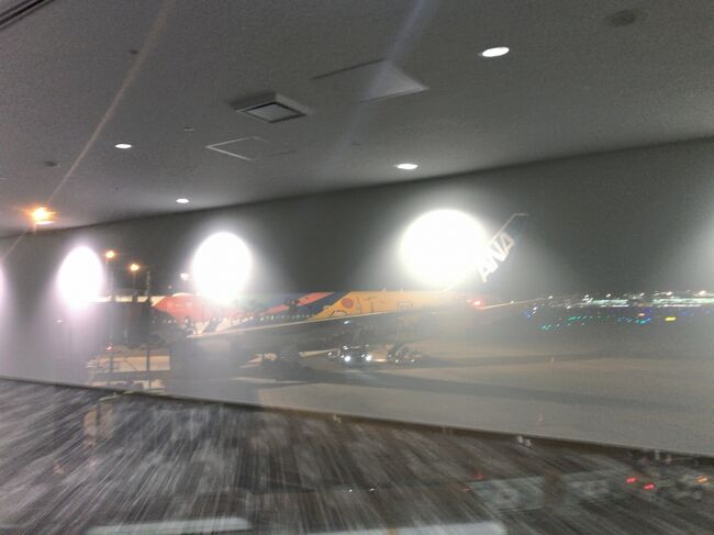 　ANA HELLO 2020 JET だそうです。<br />