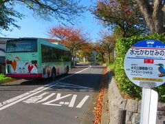 公園の北端の終点、水元かわせみの里で下車。