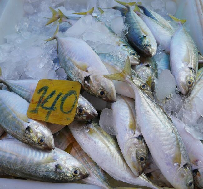 刺し身用アジ　5匹　お買い上げ～220B　≒　750円．．．これで毎日食べても5日間分あります。