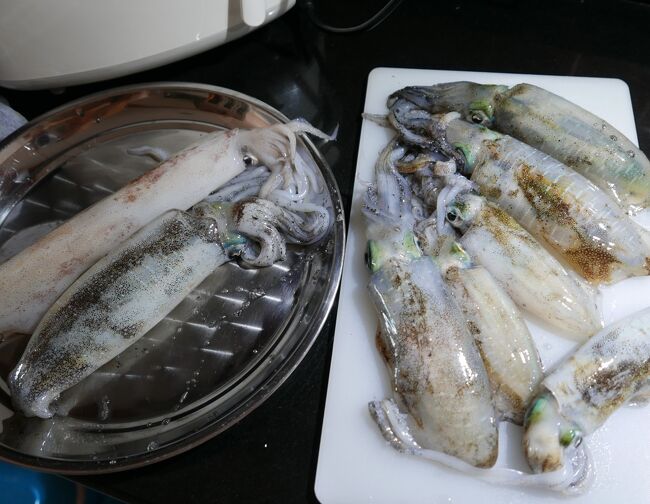 上記以外の店でも生き物のイカが有ったので又、2Kg買ってしまった。