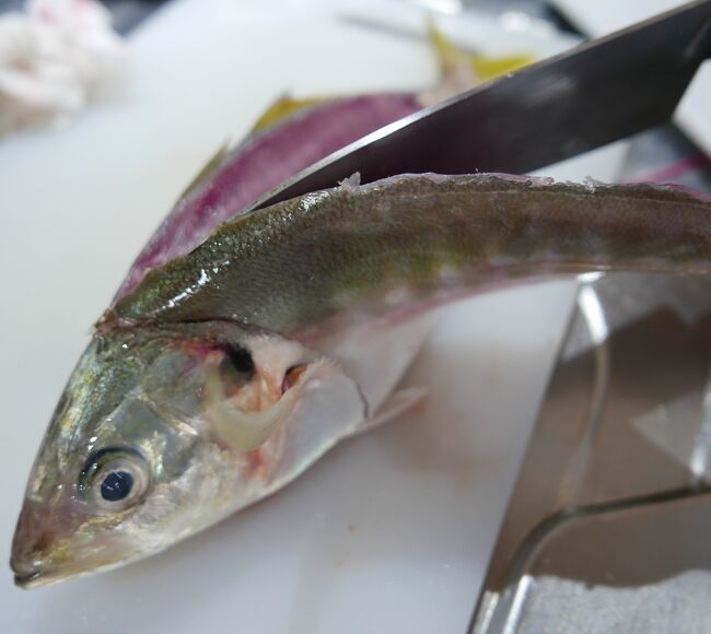 メーバーンがさばいています。