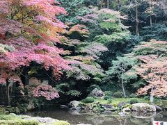 「南禅院庭園」。
拝観料400円か500円でした。