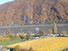ライン渓谷中流部はドイツワインの名産地