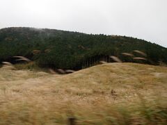 途中、仙石原のススキを見に行こうかと思っていましたが、雨が降ってきたことと、観光客の混雑に消極的になり、通過するのみとしました。
車の中からでもキレイでした。