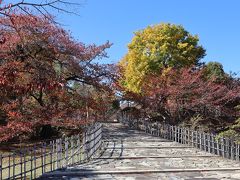 姫路城の廻りの公園は紅葉がキレイ☆
