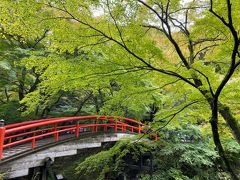 伊香保神社から河鹿橋へ
紅葉にはまだ早いです。