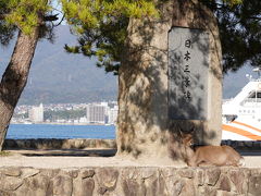 日本三景の碑の前によく見るとシカが陣取ってます。