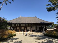 まず初めは鑑真和尚が759年に創建された唐招提寺に来ました。
拝観料1000円を払って南大門を潜ると正面には金堂が。ででんっ！ででででんっ！！
有名な金堂の八本の柱、エンタシス。古代ギリシャのパルテノン神殿にも用いられている神殿建築技法なんですって。ギリシャという遠い地から日本まで、シルクロードで伝わってきたんですね。
と思ったら、中国から伝わってきた説もあるよう。日本では胴張りと言うそうです。

金堂内部は撮影禁止のようで写真は撮れませんでしたが、千手観音菩薩立像に圧倒されました。全部で953本の腕があるそうです。元は1000本あったとか。