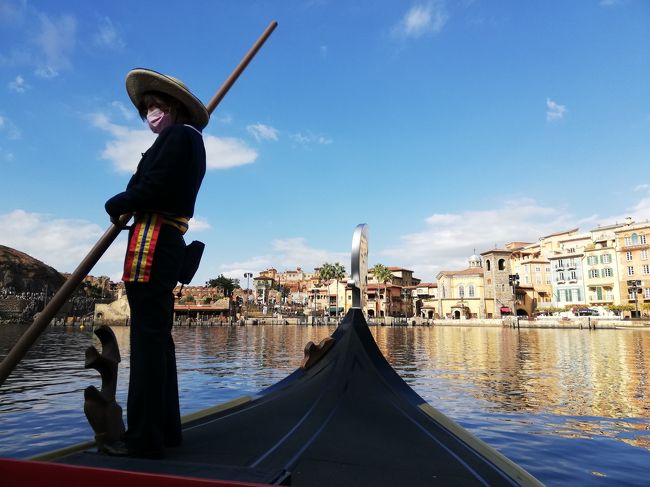 2020/5/31 まで ディズニーランド 大人 ペア チケット ( 2枚 ) 入場制限なし スポンサード パスポート ディズニーチケット