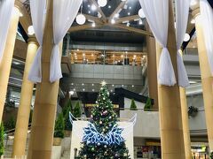 帰りはショッピングセンターのソリオ宝塚でクリスマスツリーをパチリ☆

『ソリオ宝塚は、MAKE IT BLUE JAPAN実行委員会の活動に賛同し、新型コロナウィルス感染症拡大防止の為に医療の最前線で戦う人々に感謝の気持ちを込めて始められた「LIGHT IT BLUEキャンペーン」に基づき、青と白を中心としたクリスマス装飾を施しております。』とのことでした。
