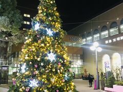 ということで宝塚駅前のツリーも青と白になっています。

日々感染者数が増えていますが、１日でも早くこの状況が落ち着きますように・・・