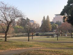 また原点に戻り前橋公園へ。

朝この風景がちらりと見えてどうしても親しんだこの公園へ来たくなりました。