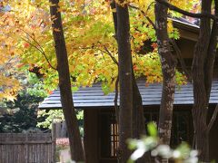 今年の紅葉は、ことのほか見事のようですので、中島公園の隣にある札幌パークホテルに予約を入れました。