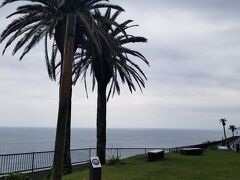 翌日。
堀切峠の絶景を眺めたら、道の駅フェニックスにアイスクリームを食べに来ました。