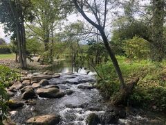 六花の森を流れるせせらぎ。