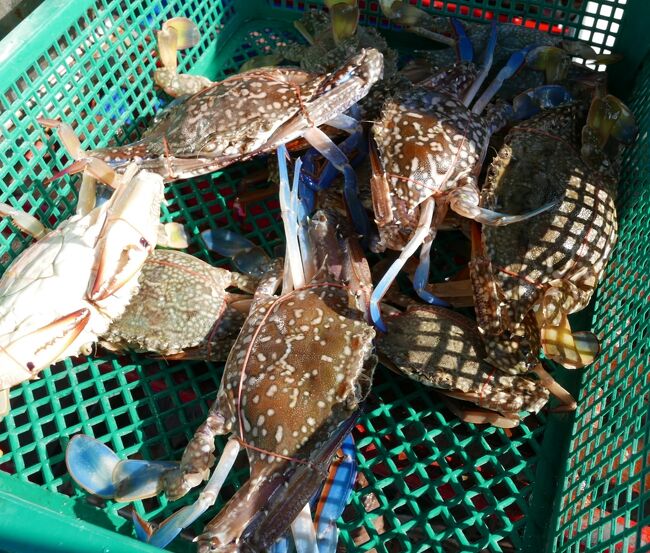 今日も来ましたバンサレー市場<br />良い物が無く手ぶらで帰りました。