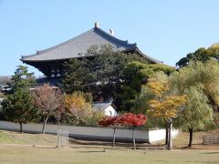 　大仏様のお家を裏側から拝見しながら　てくてく♪

　空いてる！って思ったので
　それなら久しぶりに奈良の彼氏にお会いしようと正面側へ
　あら～(ｰｰ;) 人人人！　人の波が出来てる
　　　　
　残念だけ彼氏(大仏様)に会うのはやめとくね 笑