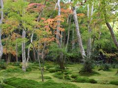 苔庭と紅葉