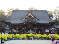 「妻沼聖天山歓喜院」へ。

菊の花がたくさん展示されていて綺麗でした。