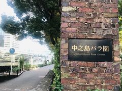 中之島バラ園に到着です！

この左側のバラの小径ではほとんどのバラが咲き終わっていて、この先のバラ園もちょっと心配していたのですが、