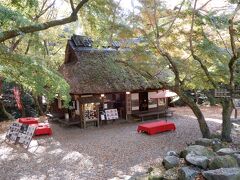 　ここはまだまだ青かった(._.)  
　紅葉で茅葺屋根が真赤にお化粧された光景は本当に美しいのです